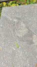Захоронение ID 1298114