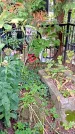 Захоронение ID 1298119