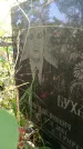 Захоронение ID 1298153