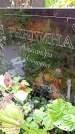 Захоронение ID 1298159