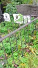 Захоронение ID 1298266