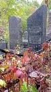 Захоронение ID 1298298