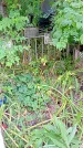 Захоронение ID 1298405