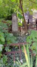 Захоронение ID 1298413