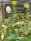 Захоронение ID 1283652
