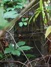 Захоронение ID 1283768