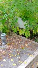 Захоронение ID 1298580