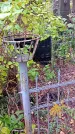 Захоронение ID 1298685