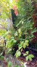 Захоронение ID 1298698