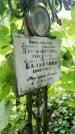 Захоронение ID 1298948