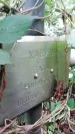Захоронение ID 1299142