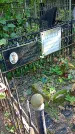 Захоронение ID 1299632
