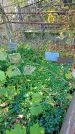 Захоронение ID 1299681