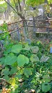 Захоронение ID 1299683