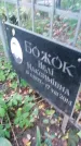 Захоронение ID 1299695
