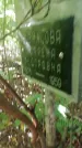 Захоронение ID 1299752