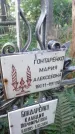 Захоронение ID 1299842
