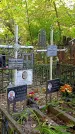 Захоронение ID 1299851