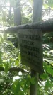 Захоронение ID 1299858