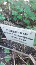 Захоронение ID 1299872