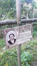 Захоронение ID 1299904