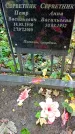 Захоронение ID 1300079