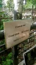 Захоронение ID 1300188