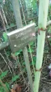 Захоронение ID 1300272