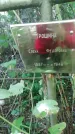 Захоронение ID 1300273