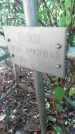 Захоронение ID 1300379