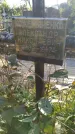 Захоронение ID 1300524