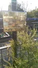 Захоронение ID 1300568