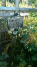 Захоронение ID 1300824