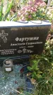 Захоронение ID 1300841