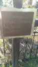 Захоронение ID 1300994