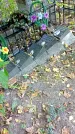 Захоронение ID 1301374
