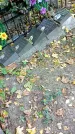Захоронение ID 1301376