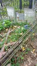 Захоронение ID 1301384
