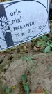 Захоронение ID 1301572