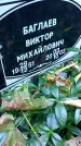Захоронение ID 1301588