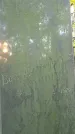 Захоронение ID 1301998