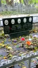 Захоронение ID 1302005