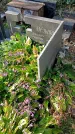 Захоронение ID 1302510