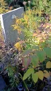 Захоронение ID 1303133