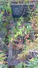 Захоронение ID 1303175
