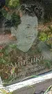 Захоронение ID 1303206
