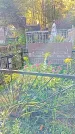 Захоронение ID 1303279