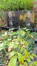 Захоронение ID 1303305