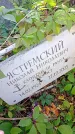 Захоронение ID 1303327