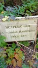 Захоронение ID 1303329